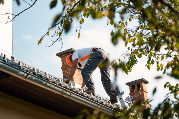 Best Roof Maintenance Services  in Hutchinson, KS